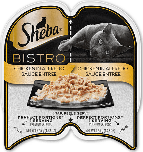 Sheba Bistro Chicken In Alfredo Sauce Entrée